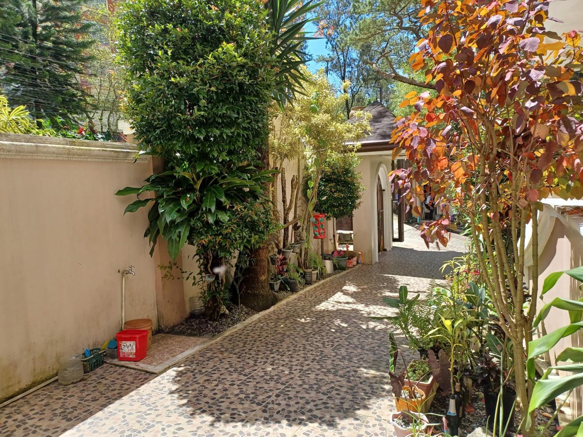 Gab'S Cozyhome At Bonbel Condo, Botanical Gardens Baguio バギオ エクステリア 写真